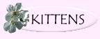 Kittens