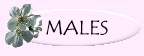 Males